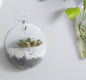 Plastic Wall Hanging Green Dill Hanging Flower Pot