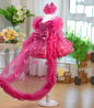 Rose Red Butterfly Sequined Long Sleeve Princess Children's Birthday Party Dress