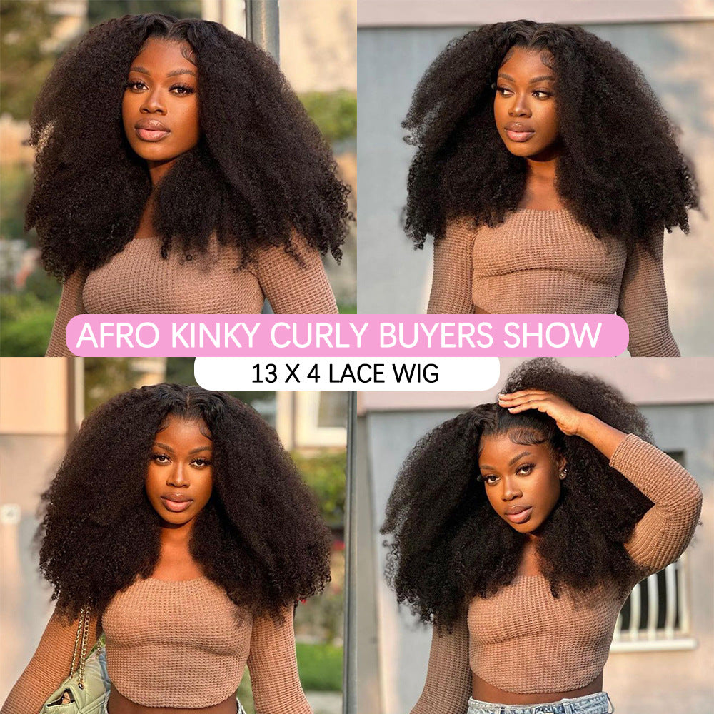 Afro Front Lace  Wig