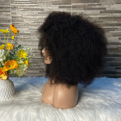Afro Front Lace  Wig