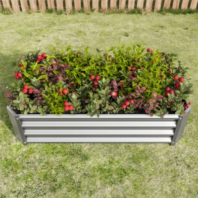 Metal Raised Garden Bed, Rectangle Raised Planter 4x2x1ft For Flowers Plants, Vegetables Herb Silver